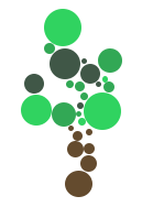 Monthly Branch