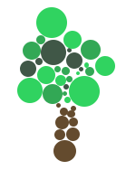 Monthly Branch