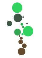 Monthly Branch